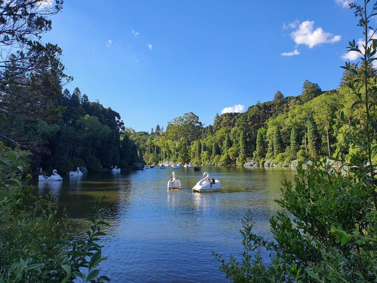 Apartamento Refugio Do Ipe Em Gramado - Proximo Ao Lago Negro Eksteriør billede
